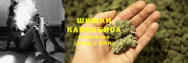 шишки Беломорск