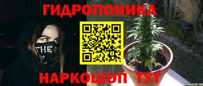 spice Моздок