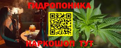 spice Моздок