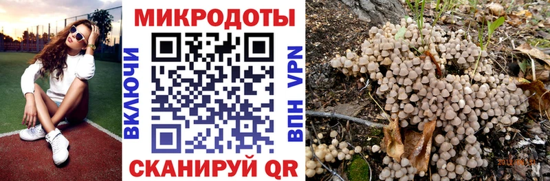 Псилоцибиновые грибы прущие грибы где продают hydra ТОР Вязники